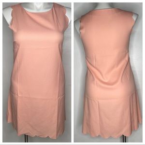 🍋Pink Scallop trim shift dress